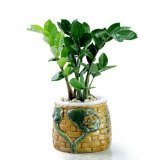 新格调 - 玩具 - 亚马逊